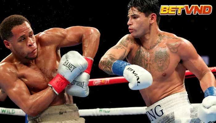 Cược Boxing