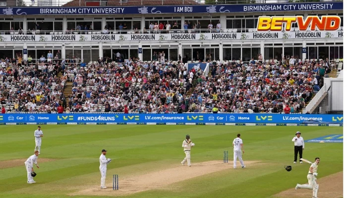 Cá cược cricket