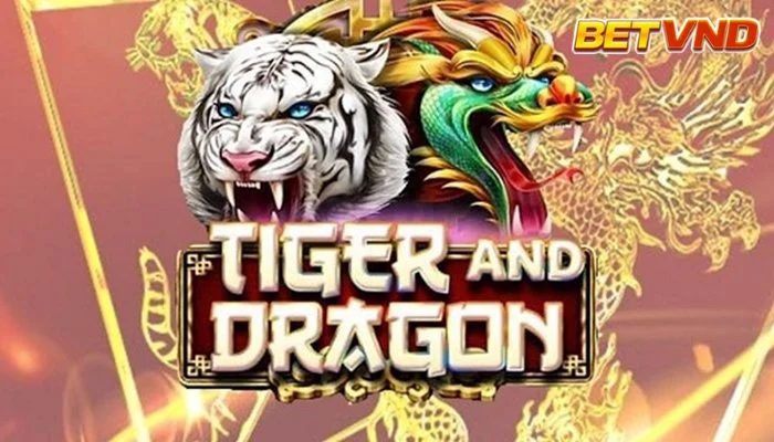 Cách chơi bài Rồng Hổ online